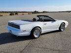 Thumbnail Photo 6 for 1991 Pontiac Firebird
