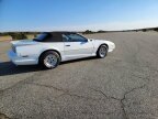 Thumbnail Photo 5 for 1991 Pontiac Firebird