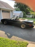 Thumbnail Photo 3 for 1991 Pontiac Firebird Convertible