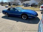 Thumbnail Photo 2 for 1991 Pontiac Firebird