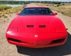 Thumbnail Photo 2 for 1991 Pontiac Firebird Trans Am