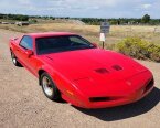 Thumbnail Photo 1 for 1991 Pontiac Firebird Trans Am