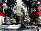 Thumbnail Photo 6 for 1991 Pontiac Firebird