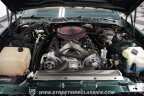 Thumbnail Photo 3 for 1991 Pontiac Firebird