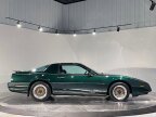 Thumbnail Photo 4 for 1991 Pontiac Firebird Trans Am