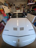 Thumbnail Photo 3 for 1991 Pontiac Firebird Trans Am Coupe for Sale by Owner