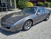 1991 Pontiac Firebird