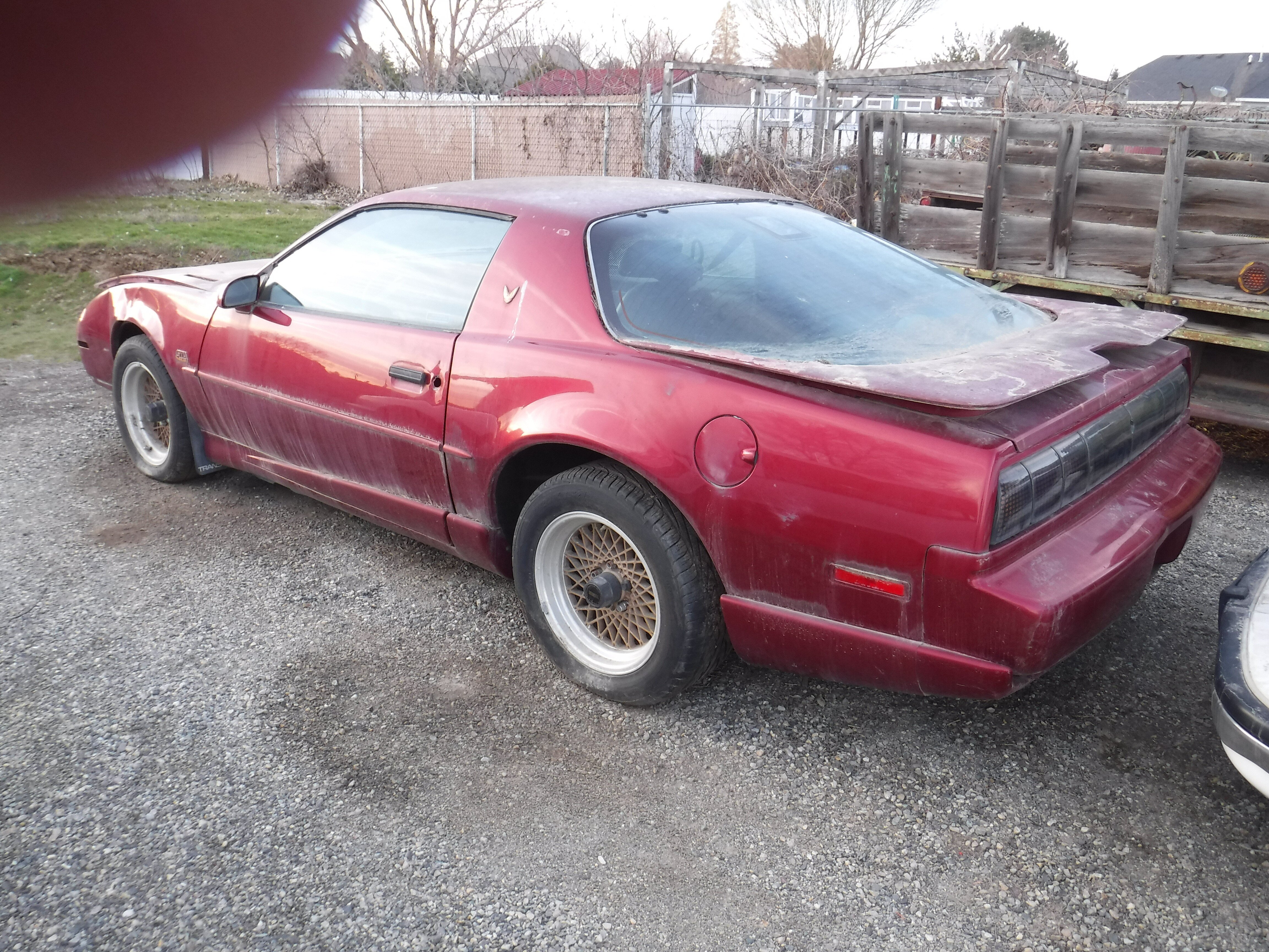 1991 Pontiac Firebird Trans Am Coupe