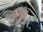 Thumbnail Photo 4 for 1991 Porsche 911 Carrera Cabriolet