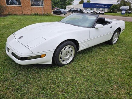 Photo 1 for 1992 Chevrolet Corvette