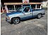 1992 Chevrolet Silverado 1500 2WD Regular Cab