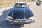 Thumbnail Photo 3 for 1992 Jaguar XJS V12 Convertible
