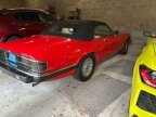 Thumbnail Photo 6 for 1992 Jaguar XJS