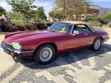 Photo 1 for 1992 Jaguar XJS