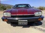 Thumbnail Photo 3 for 1992 Jaguar XJS