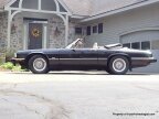 Thumbnail Photo 4 for 1992 Jaguar XJS V12 Convertible