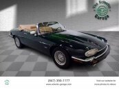 1992 Jaguar XJS