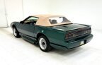 Thumbnail Photo 4 for 1992 Pontiac Firebird Trans Am Convertible