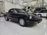 1993 Alfa Romeo Spider