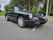 1993 Alfa Romeo Spider