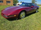 Thumbnail Photo 4 for 1993 Chevrolet Corvette