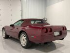 Thumbnail Photo 6 for 1993 Chevrolet Corvette Convertible