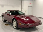 Thumbnail Photo 2 for 1993 Chevrolet Corvette Convertible