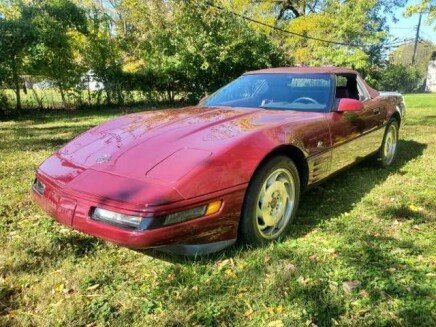 Photo 1 for 1993 Chevrolet Corvette