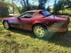Thumbnail Photo 5 for 1993 Chevrolet Corvette