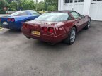 Thumbnail Photo 3 for 1993 Chevrolet Corvette
