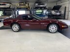 Thumbnail Photo 2 for 1993 Chevrolet Corvette LT-1