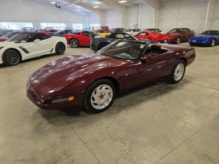 Photo 1 for 1993 Chevrolet Corvette Convertible