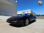 Thumbnail Photo 4 for 1993 Chevrolet Corvette Convertible