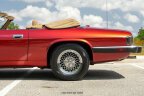 Thumbnail Photo 5 for 1993 Jaguar XJS