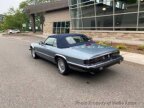 Thumbnail Photo 6 for 1993 Jaguar XJS