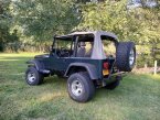 Thumbnail Photo 5 for 1993 Jeep Wrangler 4WD