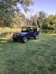 Thumbnail Photo 2 for 1993 Jeep Wrangler 4WD