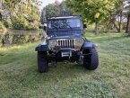 Thumbnail Photo 3 for 1993 Jeep Wrangler 4WD