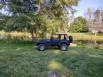 Thumbnail Photo 1 for 1993 Jeep Wrangler 4WD