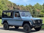 Thumbnail Photo 1 for 1993 Mercedes-Benz G Wagon