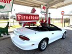 Thumbnail Photo 3 for 1994 Chevrolet Camaro Z28 Convertible
