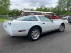 Thumbnail Photo 1 for 1994 Chevrolet Corvette