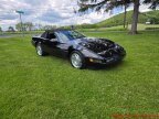 Thumbnail Photo 1 for 1994 Chevrolet Corvette