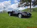 Thumbnail Photo 5 for 1994 Chevrolet Corvette