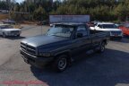 Thumbnail Photo 6 for 1994 Dodge Ram 1500 Truck 2WD Regular Cab