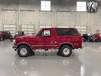 Thumbnail Photo 5 for 1994 Ford Bronco