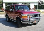 Thumbnail Photo 3 for 1994 Ford Bronco