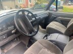 Thumbnail Photo 2 for 1994 Ford Bronco XLT