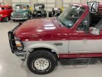 Thumbnail Photo 6 for 1994 Ford Bronco XLT