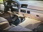 Thumbnail Photo 5 for 1994 Ford F150
